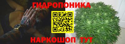 PSILOCYBIN Моздок